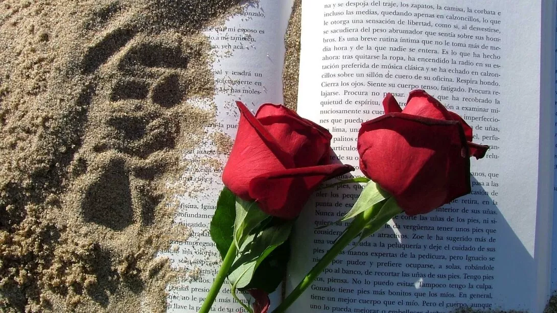 Día de Sant Jordi: una fiesta llena de cultura, literatura y amor