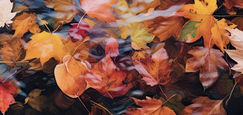 Celebraciones y tradiciones de Otoño